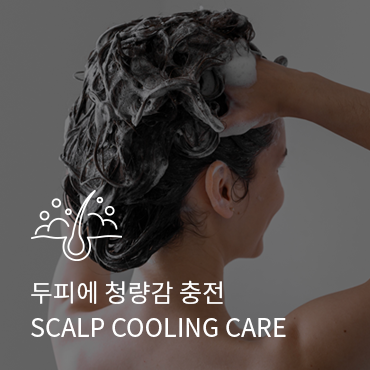 슬라이드 이미지