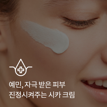 슬라이드 이미지