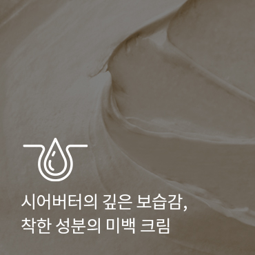 슬라이드 이미지