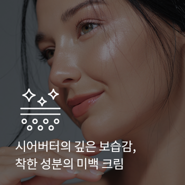 슬라이드 이미지