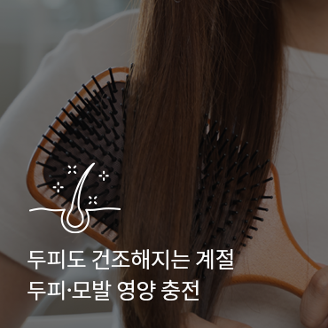 슬라이드 이미지