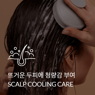 슬라이드 이미지