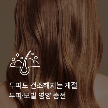 슬라이드 이미지